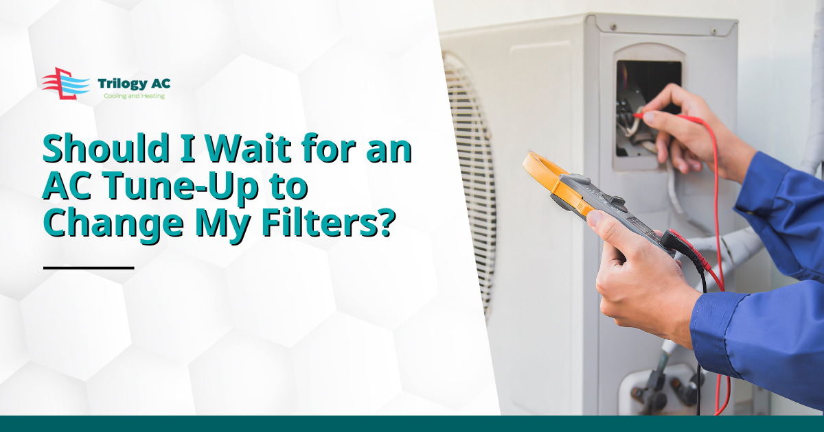 Should I Wait for an AC Tune-Up to Change My Filters?
