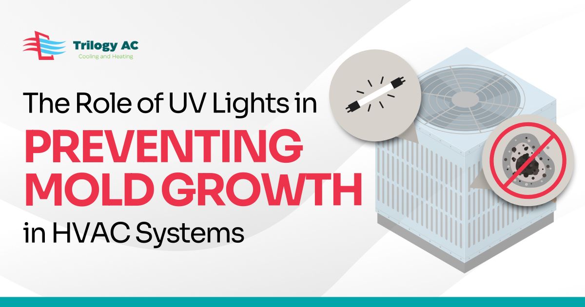 The Role of UV Lights in Preventing Mold Growth in HVAC Systems