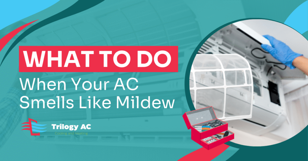 What to Do When Your AC Smells Like Mildew